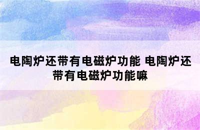 电陶炉还带有电磁炉功能 电陶炉还带有电磁炉功能嘛